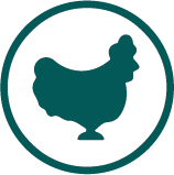 Produtos Suinocultura Avicultura